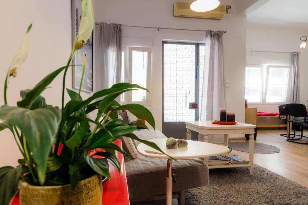 Appartement Renovated, Open And Functional Old House *